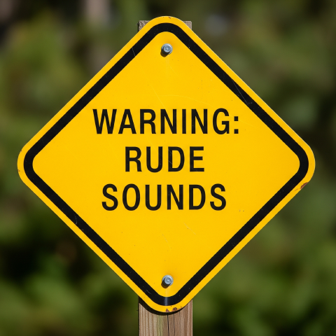 Rude sounds